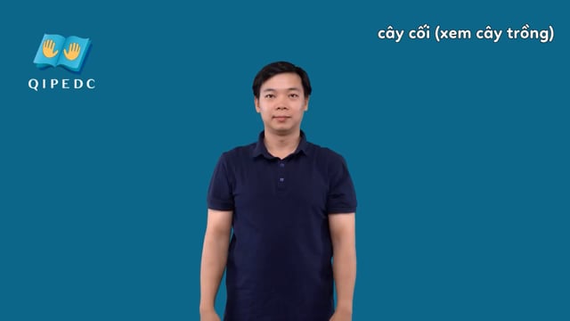 cây cối