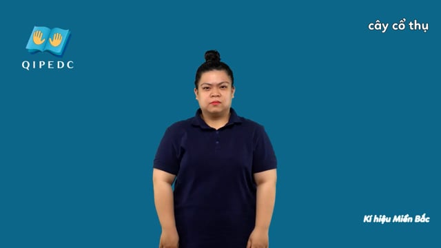cây cổ thụ