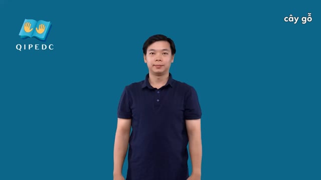 cây gỗ
