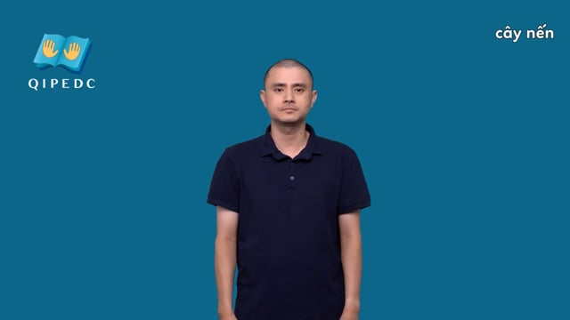 cây nến