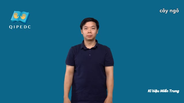 cây ngô