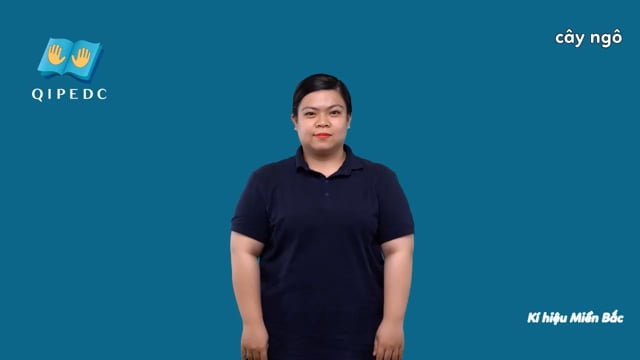 cây ngô
