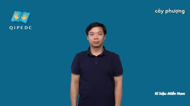 cây phượng