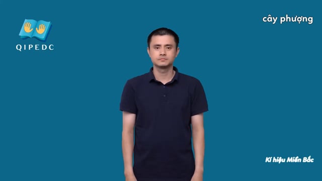 cây phượng