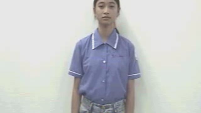 cây thông