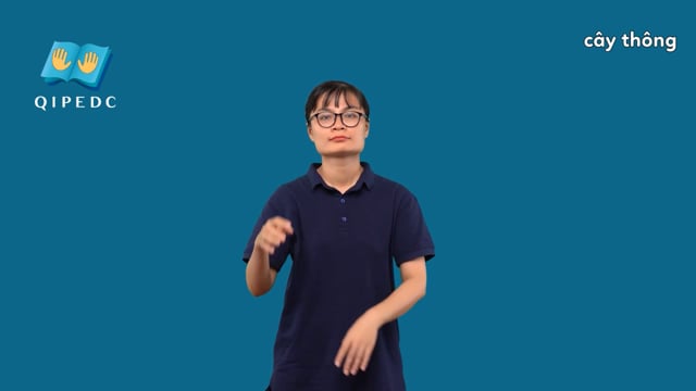 cây thông