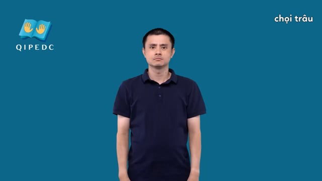 chọi trâu