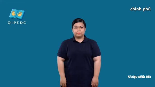 chính phủ