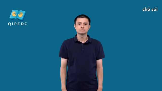 chó sói