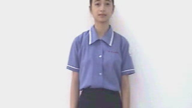 chim bồ câu