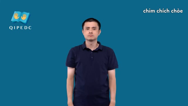 chim chích chòe