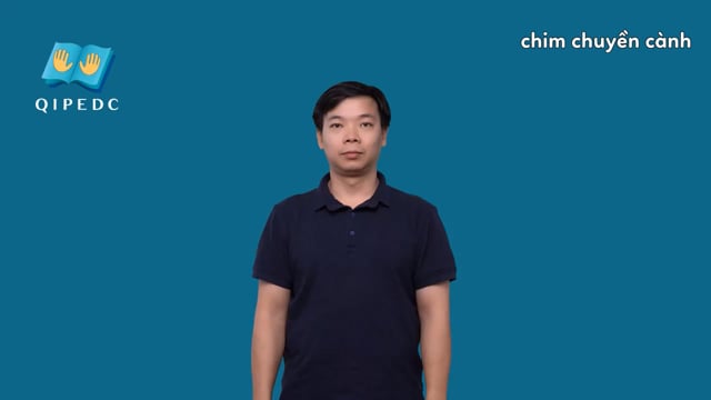 chim chuyền cành