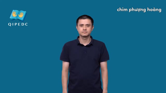 chim phượng hoàng