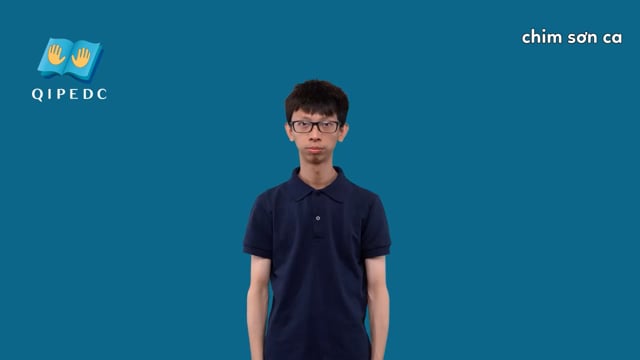 chim sơn ca
