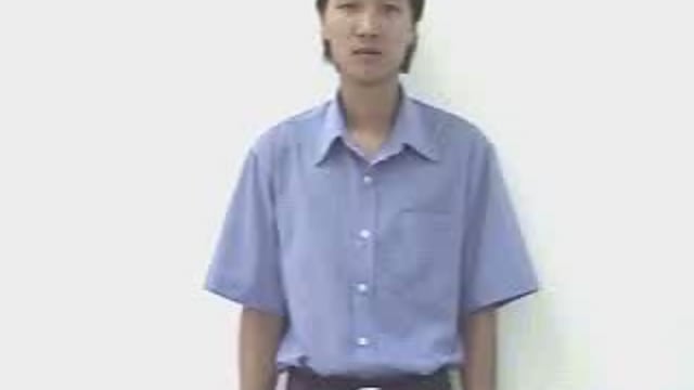 chim vẹt