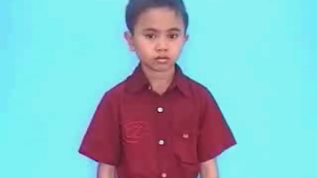 chim vẹt