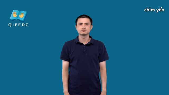 chim yến