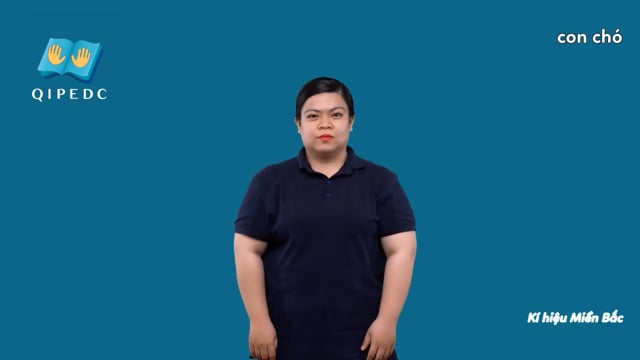 con chó