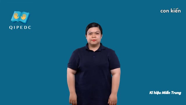 con kiến