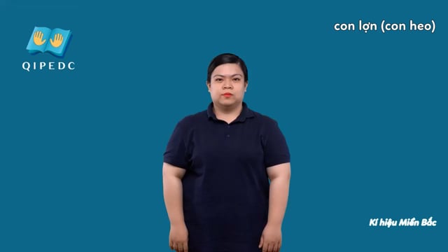 con lợn (con heo)