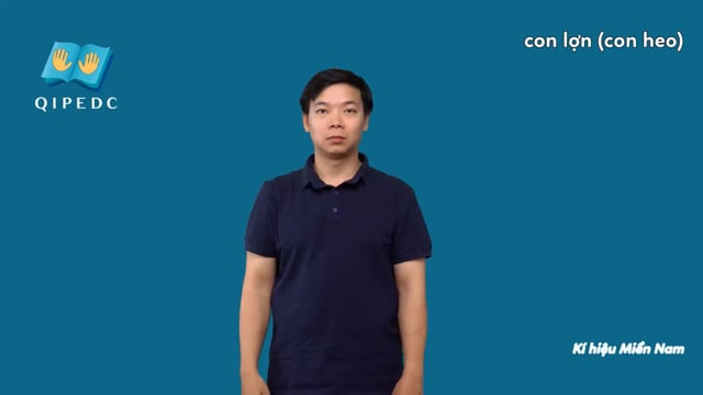 con lợn (con heo)