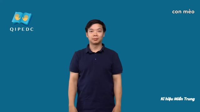 con mèo