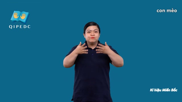 con mèo