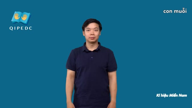 con muỗi
