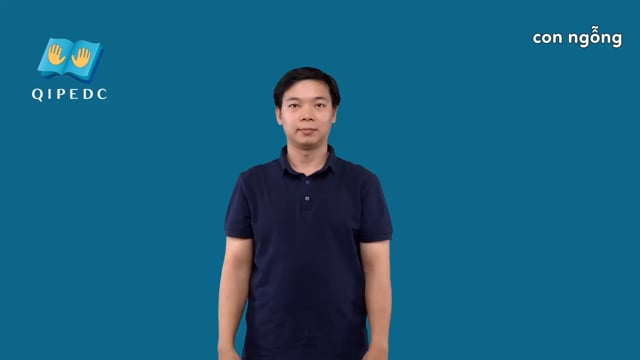 con ngỗng