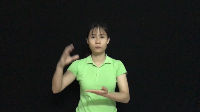 con ruồi