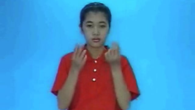con thỏ