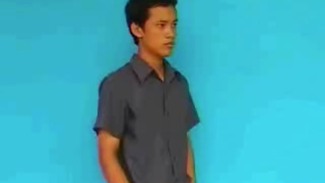 con vẹt