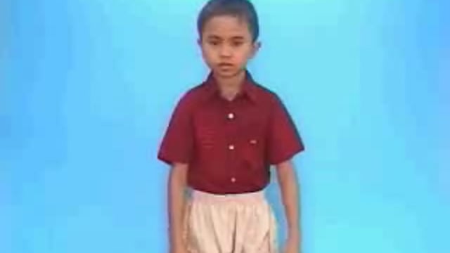 con vịt trời