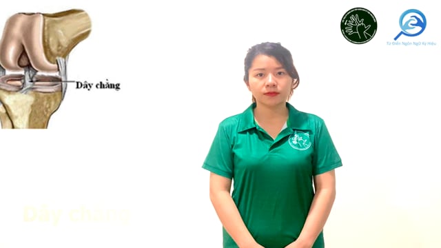 dây chằng