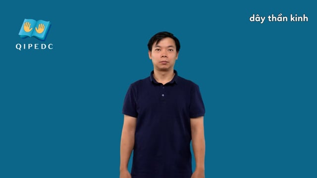 dây thần kinh