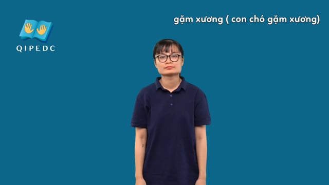 gặm xương (con chó gặm xương)