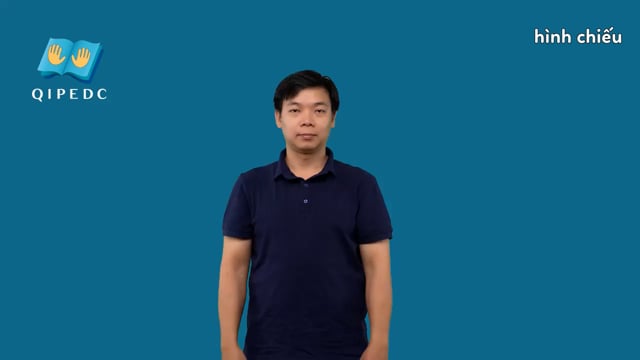 hình chiếu