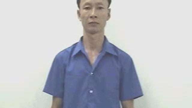 hoa cẩm chướng