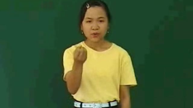 hoa hướng dương