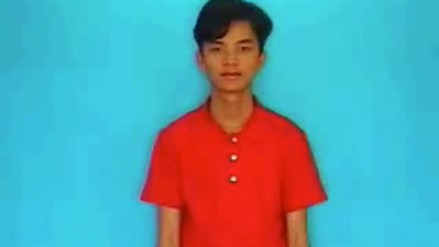 hoa mai