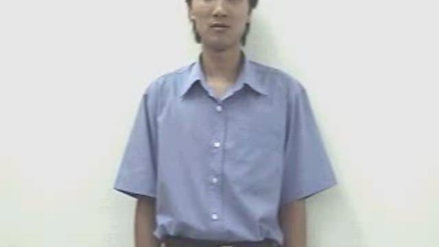 hoa đồng tiền