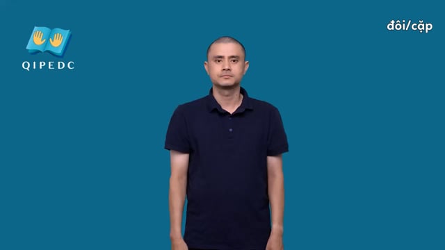 đôi/cặp