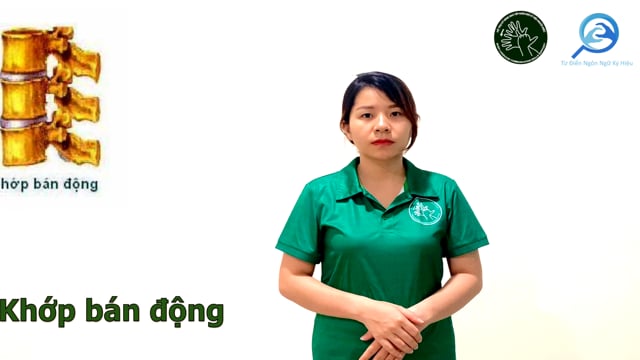 khớp bán động