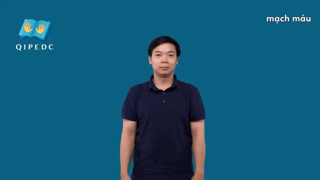 mạch máu