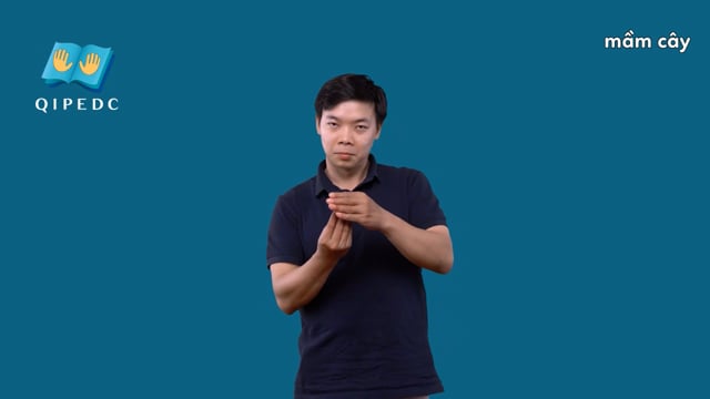 mầm cây
