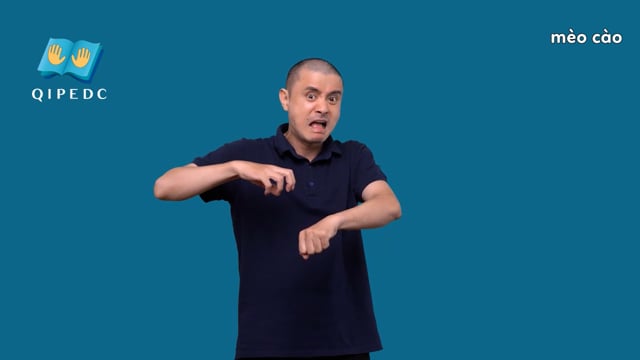 mèo cào