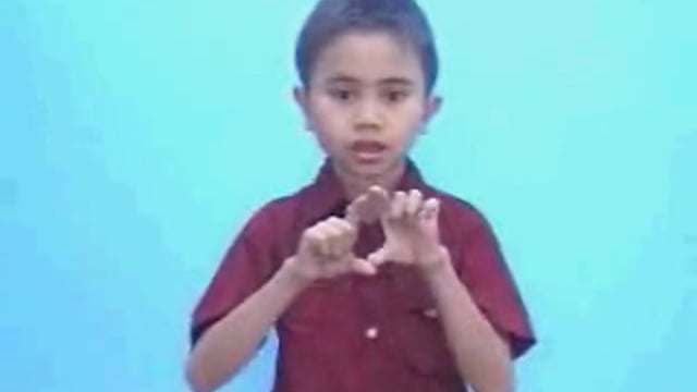 máy ảnh