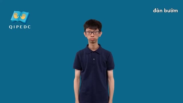 đàn bướm
