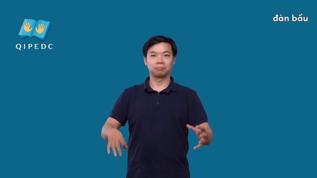 đàn bầu