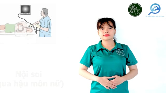 nội soi (qua hậu môn nữ)